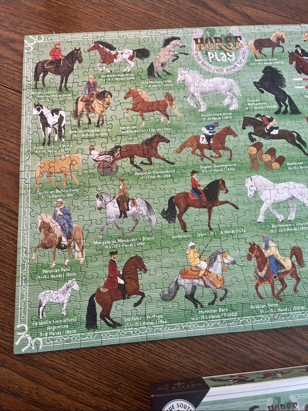 Horse Play 500-Piece Jigsaw Puzzle - Green - Picture 3 of 15